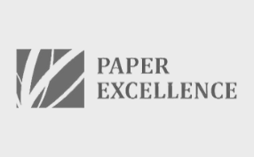 Paper Excellence